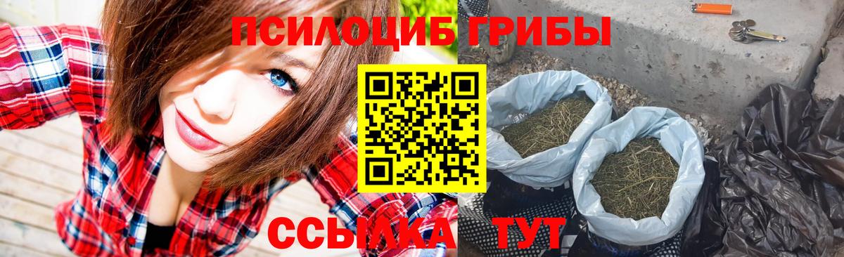 Псилоцибиновые грибы прущие грибы Удомля