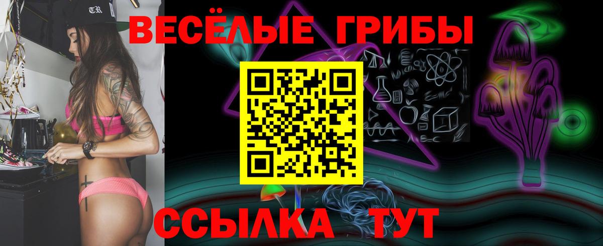 Псилоцибиновые грибы Cubensis  Вход с VPN  Удомля  Псилоцибиновые грибы Magic Shrooms 